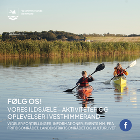 Billede der markedsføre Facebook-siden 