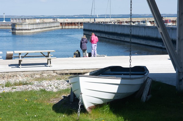 Billede fra udstillingen 